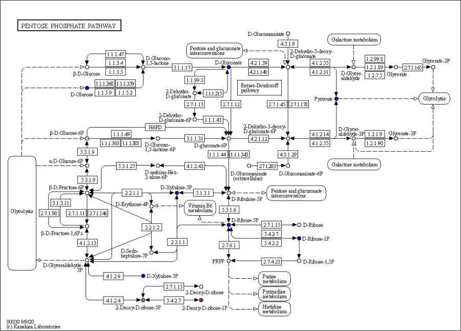 Data Analysis in Metabolomics Biomarker Research-Metabolites Function Analysis figure 1